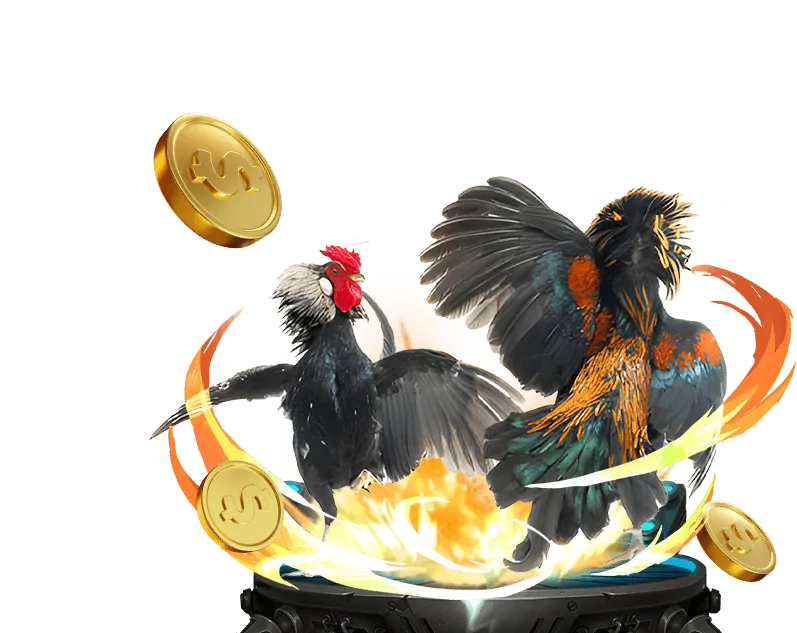 Cá cược thể thao s689